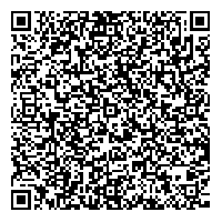 Example QR Code
